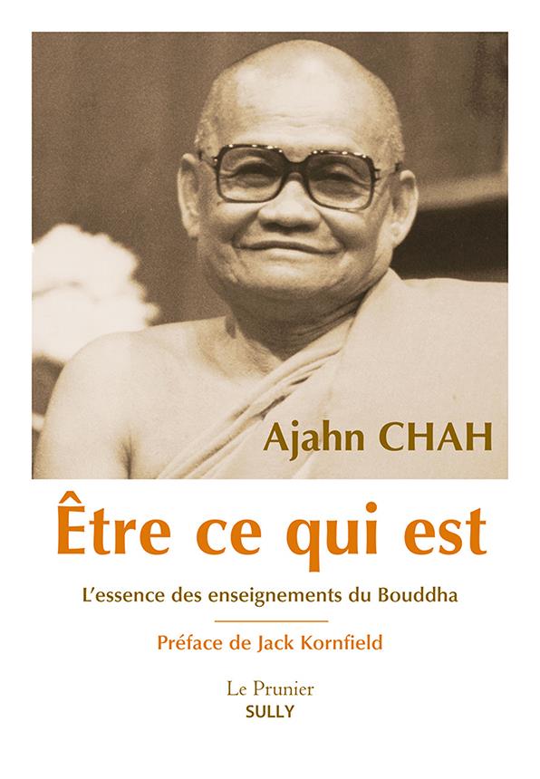 Etre ce qui est. L'essence des enseignements du Bouddha