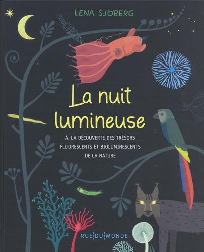 La nuit lumineuse