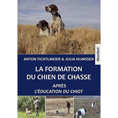 La formation du chien de chasse après l'éducation du chiot