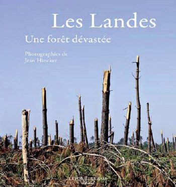 Les Landes. Une forêt dévastée
