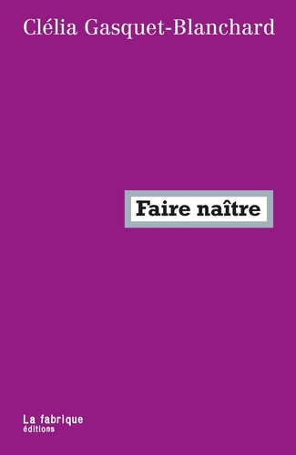 Faire naître. Ce que le capitalisme fait à la maternité