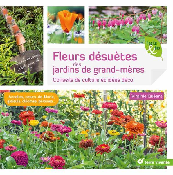 Fleurs désuètes des jardins de grand-mères. Conseils de culture et idées déco