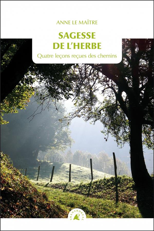 Sagesse de l'herbe. Quatre leçons reçues des chemins