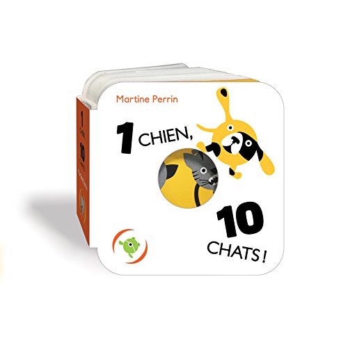 1 chien, 10 chats !
