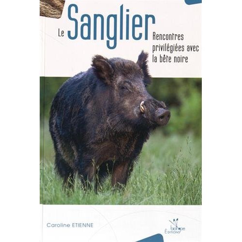 Le sanglier