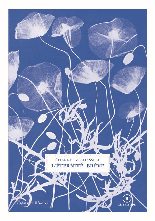 L'éternité, brève. Eclats du grand foutoir