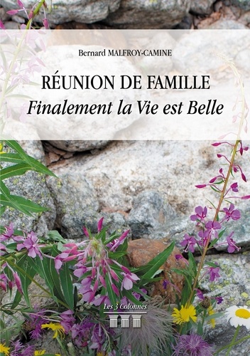 Réunion de famille. Finalement la vie est belle