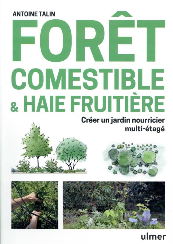 Forêt comestible & haie fruitière. Créer un jardin nourricier multi-étagé