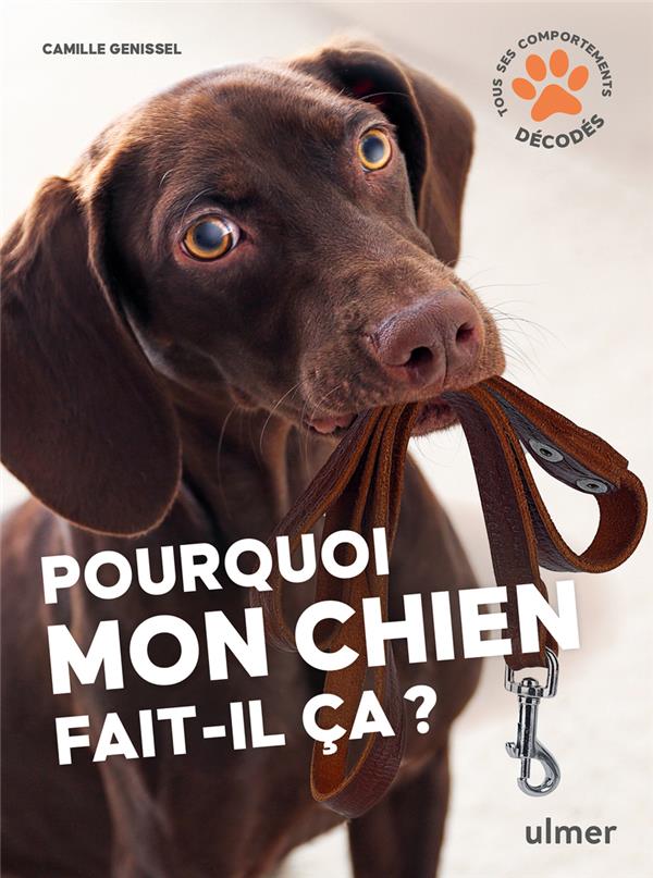 Pourquoi mon chien fait-il ça ?
