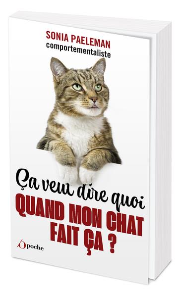 Ça veut dire quoi quand mon chat fait ça ? 35 questions que vous vous posez sur votre chat et ses co