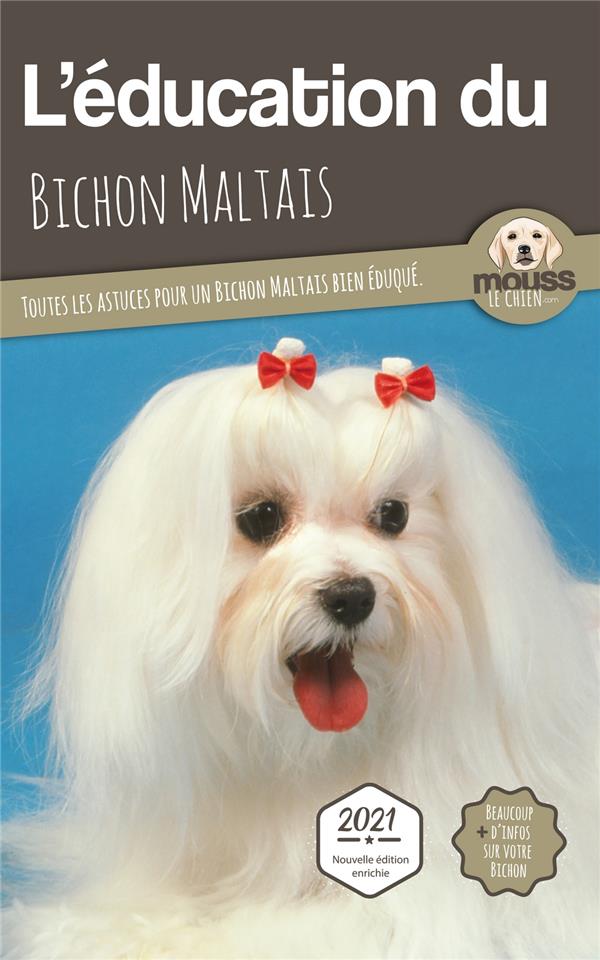 L'éducation du Bichon Maltais. Toutes les astuces pour un Bichon Maltais bien éduqué
