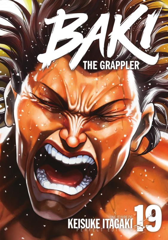Baki the Grappler - Perfect Edition Tome 19