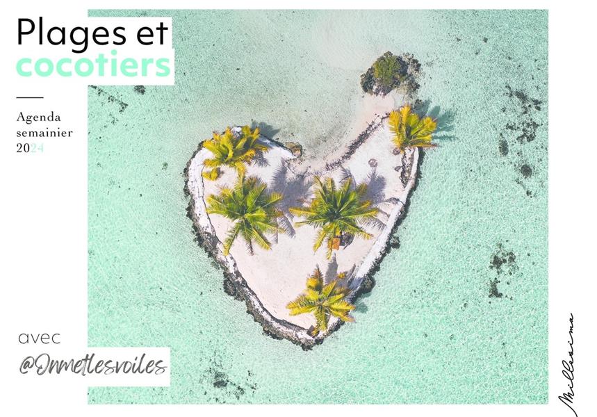 Agenda semainier Plage et cocotiers. Edition 2024