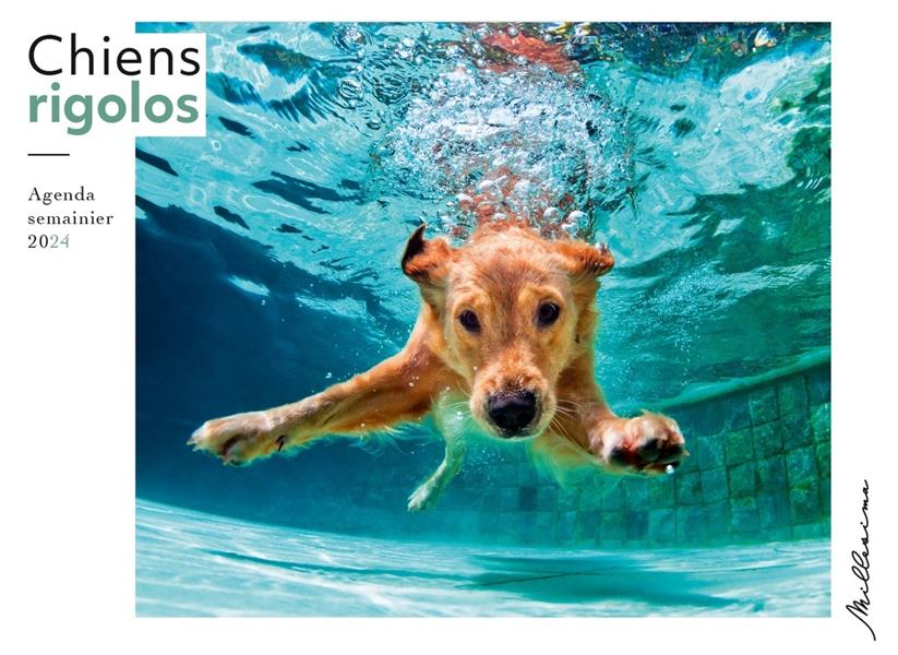 Agenda semainier Chiens rigolos. Edition 2024