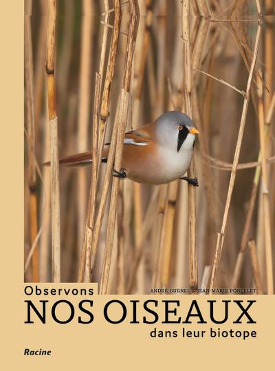 Observons nos oiseaux dans leur biotope