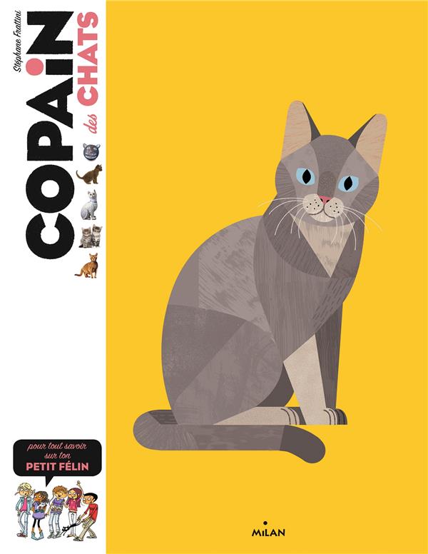 Copain des chats. Pour tout savoir sur ton petit félin