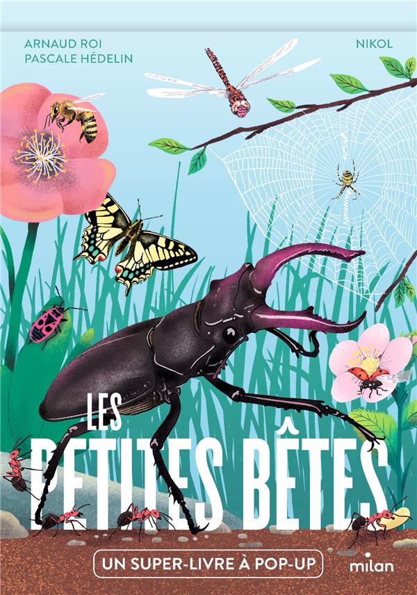 Les petites bêtes. Un super-livre à pop-up