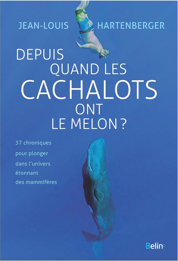 Depuis quand les cachalots ont le melon ?