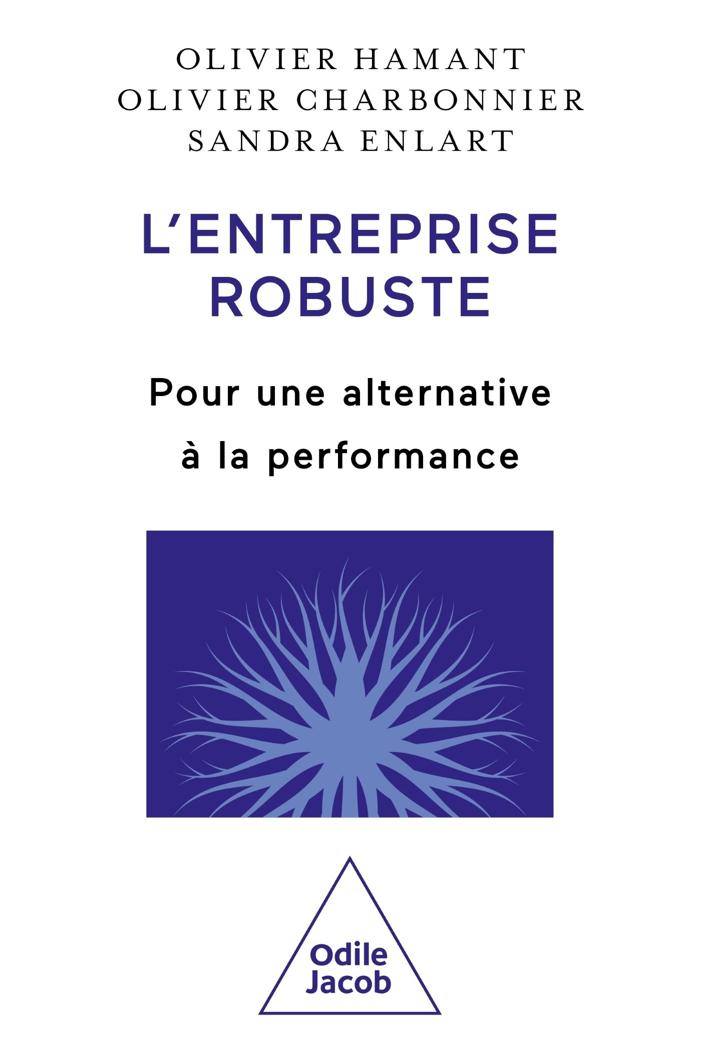 L'entreprise robuste. Pour une alternative à la performance