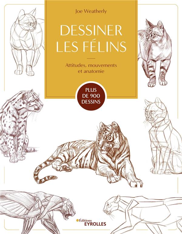 Dessiner les félins. Attitudes, mouvements et anatomie