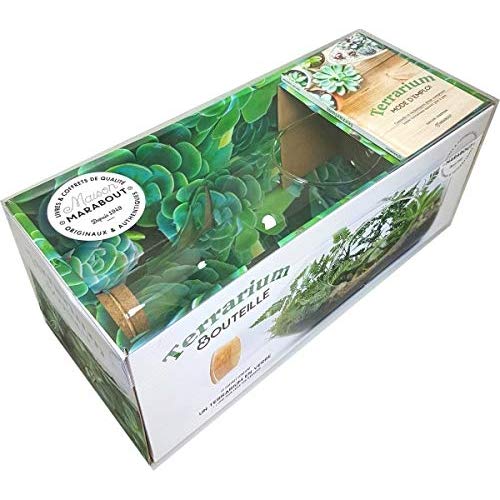 Coffret Terrarium Bouteille. Terrarium, mode d'emploi avec 1 terrarium en verre