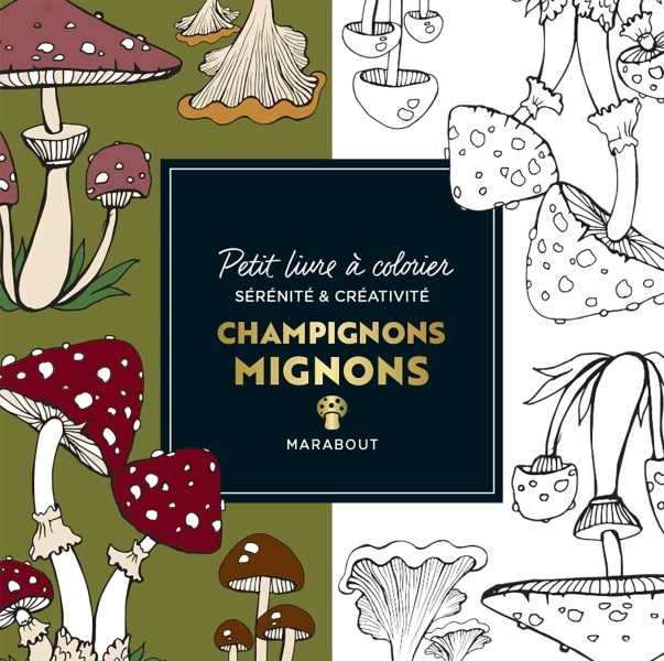 Champignons mignons