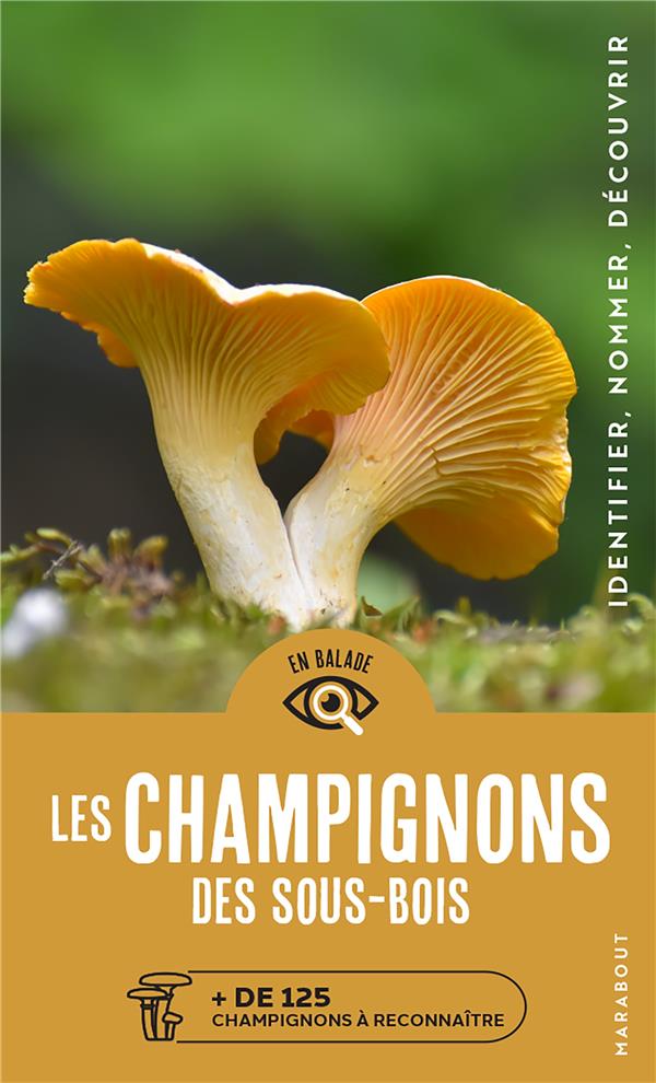 Les champignons des sous bois. de 125 champignons à reconnaître