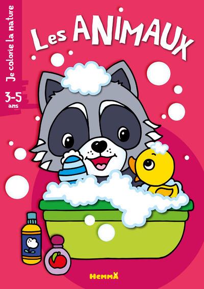 Les animaux - Raton laveur