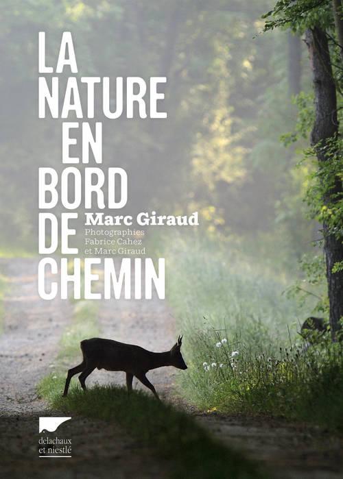 La nature en bord de chemin