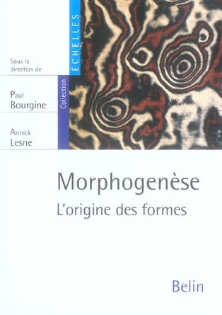 Morphogenèse. L'origine des formes
