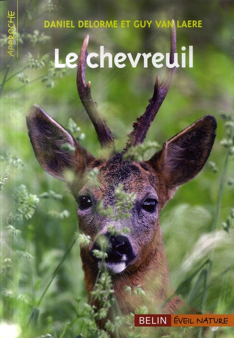 Le chevreuil