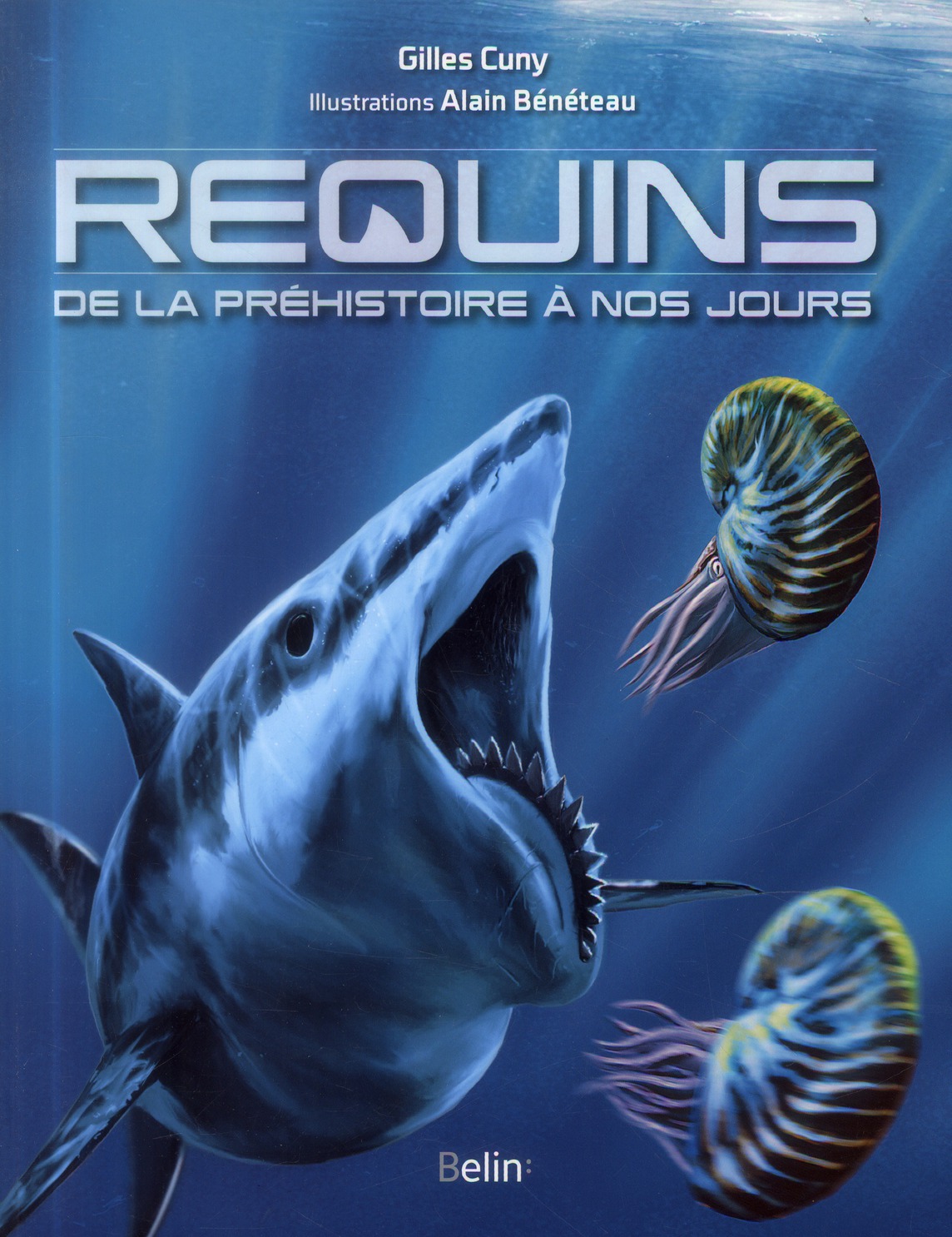 Requins de la préhistoire à nos jours