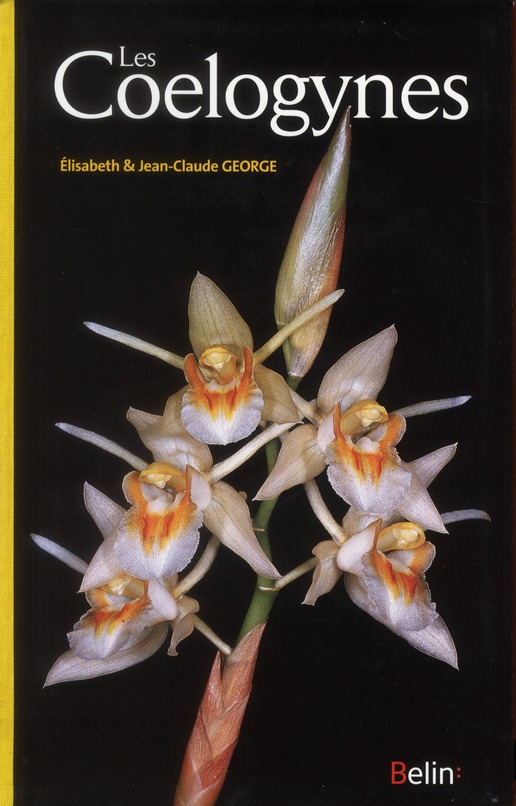 Les coelogynes