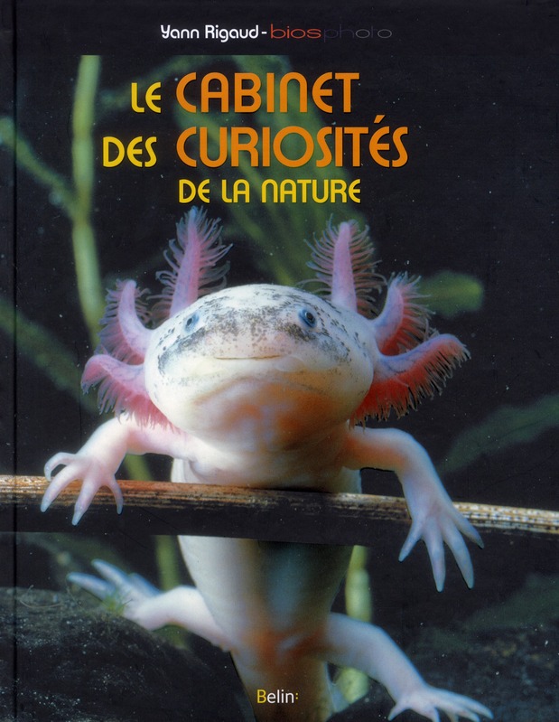 Le cabinet des curiosités de la nature