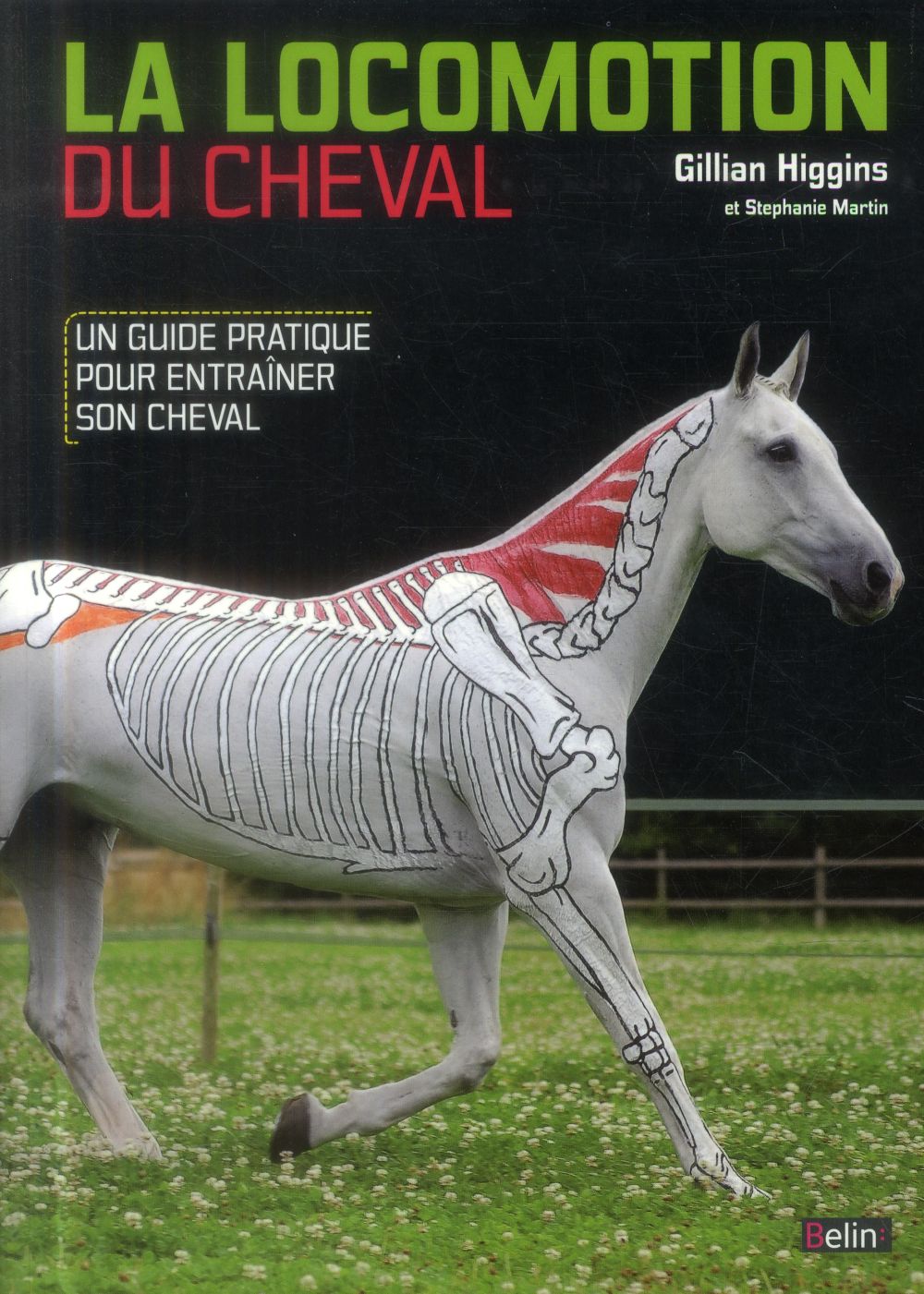 La locomotion du cheval . Un guide pratique pour entrainer son cheval