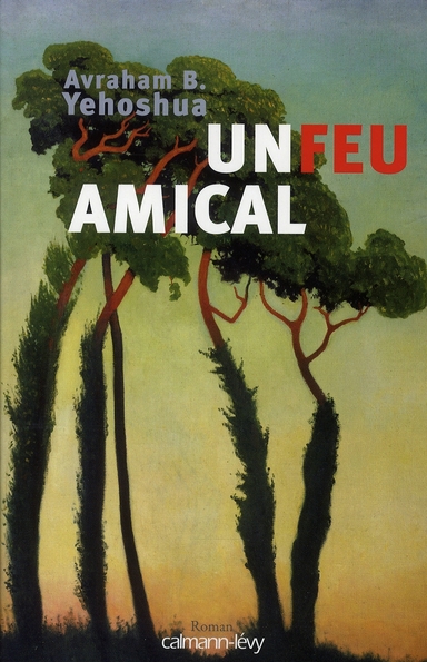 Un feu amical