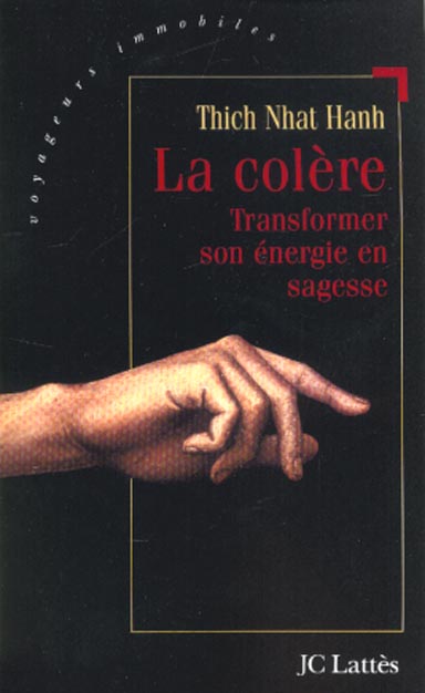 La colère. Transformer son énergie en sagesse