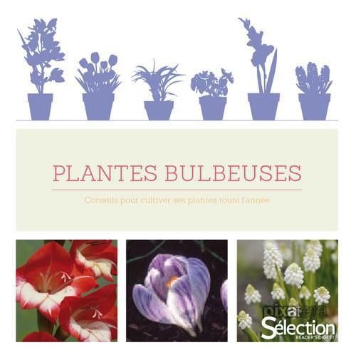 Plantes bulbeuses