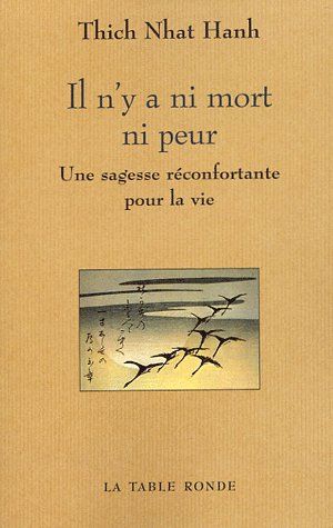 Il n'y a ni mort ni peur. Une sagesse réconfortante pour la vie