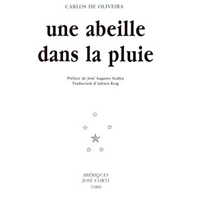 Une abeille dans la pluie