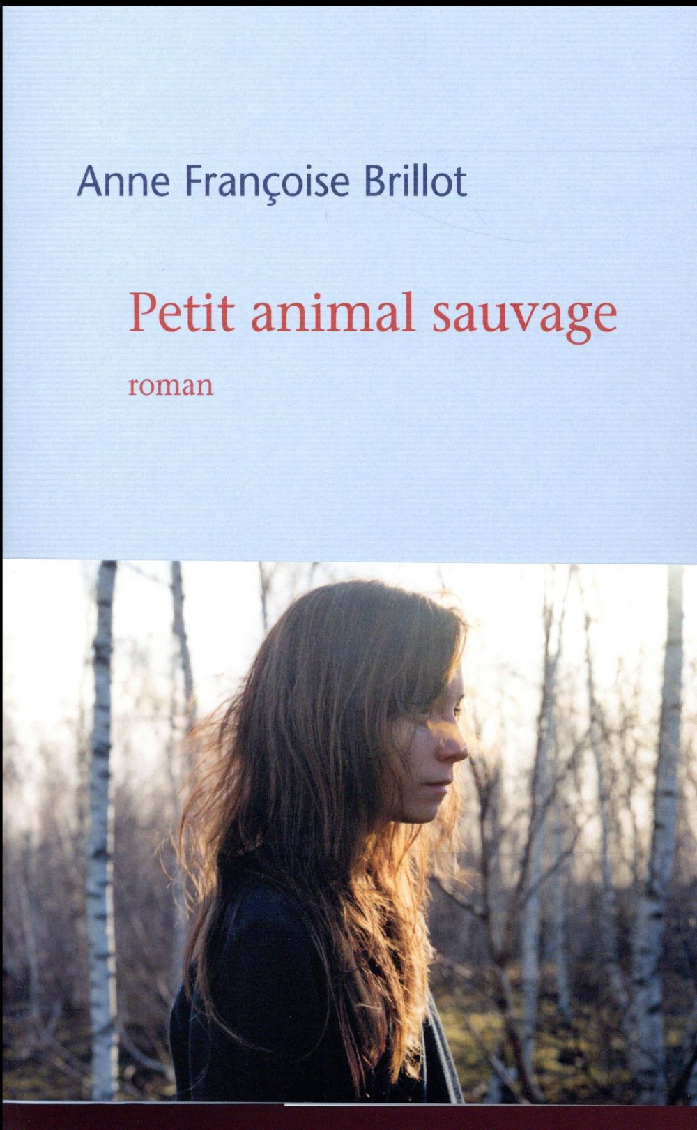 Petit animal sauvage