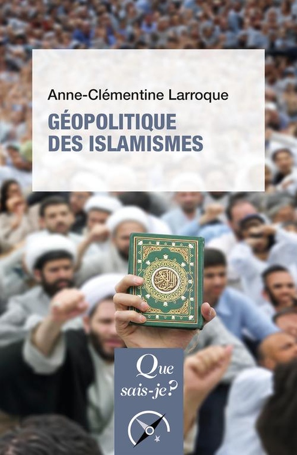 Géopolitique des islamismes - 4e édition