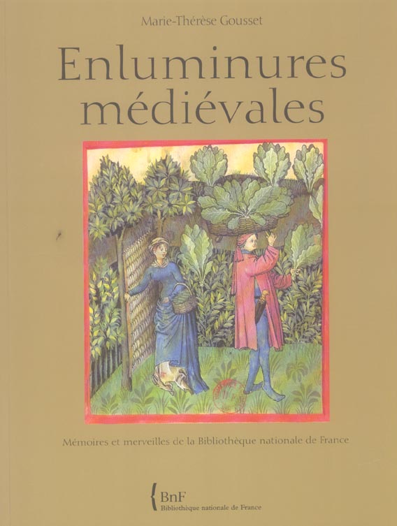 Enluminures médiévales. Mémoires et merveilles de la Biblothèque nationale de France