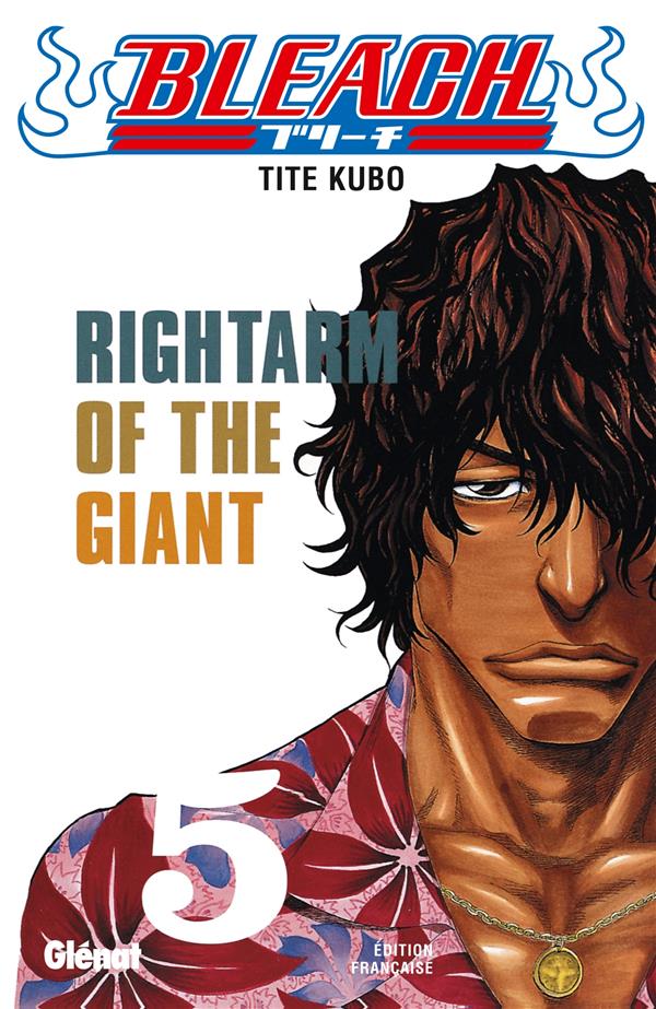 Bleach Tome 5 : Rightarm of the Giant