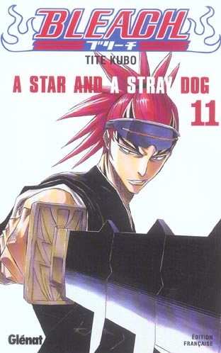 Bleach Tome 11 : A Star and a Stray Dog