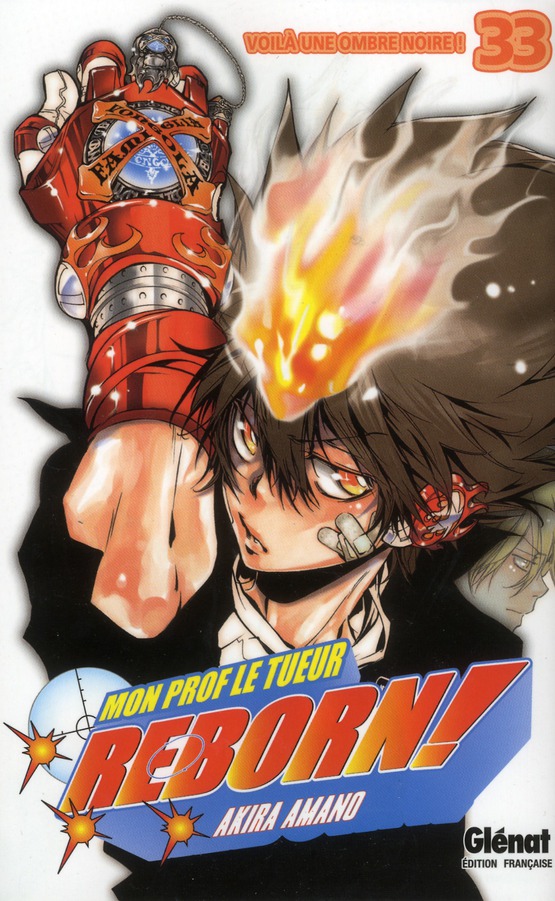 Reborn ! Tome 33 : Voilà une ombre noire !