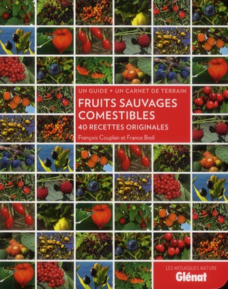 Fruits sauvages comestibles. 40 recettes originales, un guide un carnet de terrain