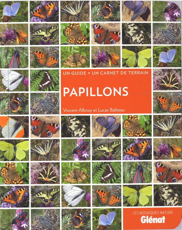 Papillons. Un guide un carnet de terrain