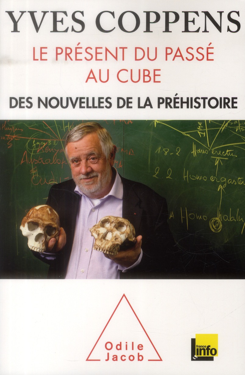 Le présent du passé au cube. Des nouvelles de la préhistoire