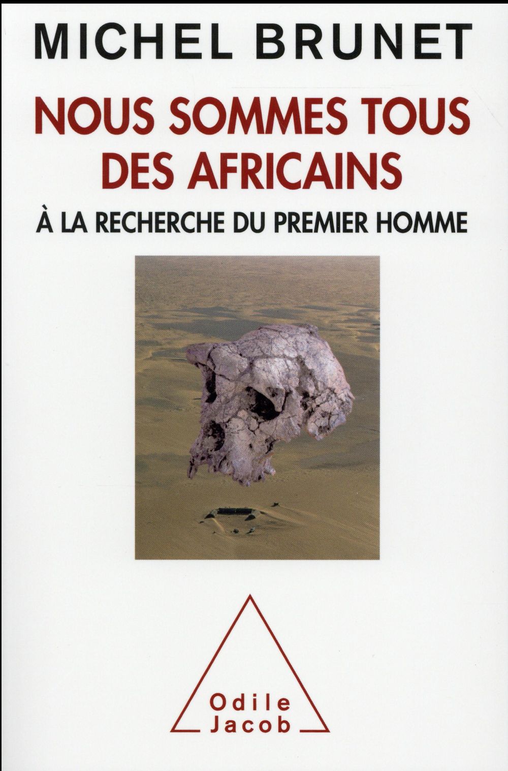 Nous sommes tous des Africains. A la recherche du premier homme